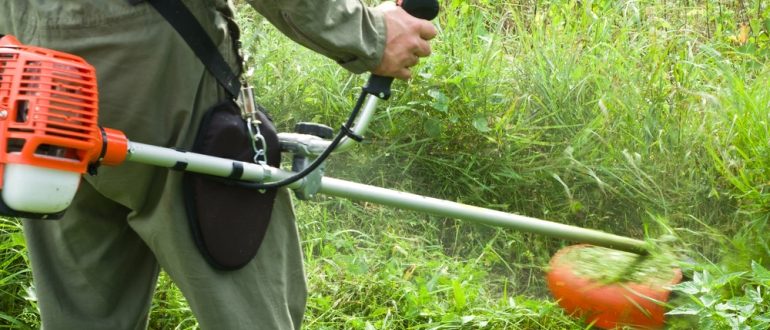 Wählen Sie einen Benzintrimmer für den Garten