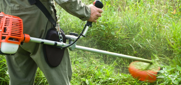 Wählen Sie einen Benzintrimmer für den Garten