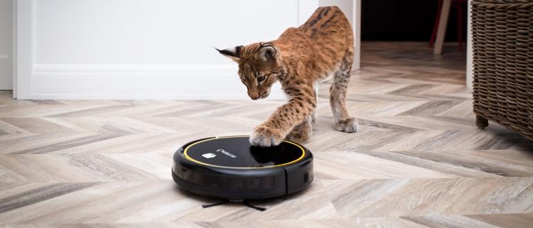 Elija una aspiradora robot con limpieza en húmedo