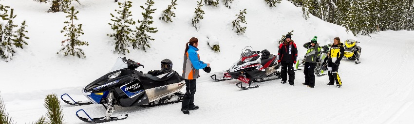 ¿Cómo elegir la moto de nieve adecuada?