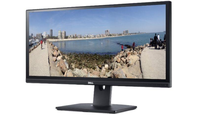 DELL U2913WM Foto