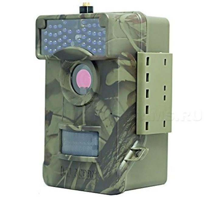 Foto de bellota Ltl-6511MG