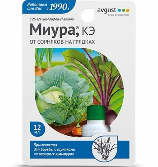 Снимка на Август Миура