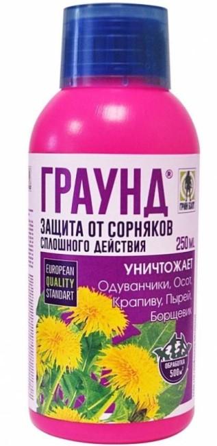 TechnoExport Ground снимка