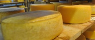 Wie man Käse zu Hause kocht - wählen Sie eine gute Käserei