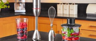 Einen Stabmixer für zu Hause wählen