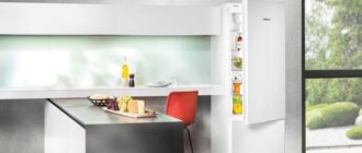 Der beste Kühlschrank mit der bekannten Frostfunktion - wählen Sie